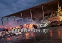 Φωτιά σε εργοστάσιο στον Οροχμενό – Ισχυρές δυνάμεις στο σημείο