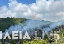 Φωτιά στην Ηλεία, ρίψεις νερού από ένα αεροσκάφος