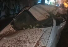 Κακοκαιρία Erminio: Δέντρο καταπλάκωσε αυτοκίνητο στην Ηλιούπολη