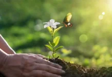 Ημέρα της Γης 2026: 5 πράγματα που ίσως δεν γνωρίζετε για την κλιματική αλλαγή