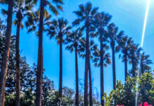 Καιρός αύριο: Λιακάδα με λίγα σύννεφα και τη θερμοκρασία σε άνοδο, αναλυτική πρόγνωση