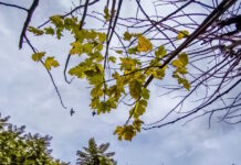 Καιρός σήμερα: Ηλιοφάνεια με λίγη συννεφιά στις περισσότερες περιοχές – Βροχές σε Μακεδονία και Θράκη