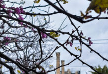 Καιρός σήμερα: Ανεβαίνει η θερμοκρασία για την Κυριακή του Πάσχα – Συννεφιά και τοπικές βροχές σε πολλές περιοχές