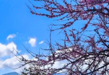 Καιρός αύριο: Ηλιοφάνεια σε όλη τη χώρα – Πιθανές βροχές και καταιγίδες στα δυτικά ορεινά