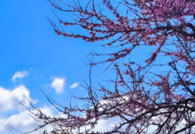 Καιρός – Καλλιάνος: Άστατος με περισσότερες νεφώσεις, βροχές κατά διαστήματα και τοπικές καταιγίδες