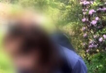 Καλλιθέα: Χειροπέδες σε καθηγήτρια που πουλούσε ναρκωτικά σε μαθητές – Εντοπίστηκαν συσκευασίες νάιλον και ποσότητα κάνναβης