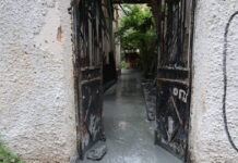 Κυψέλη: Τι είναι ο αθηναϊκός σχιστόλιθος που αναβλύζει από αυλή και αναστάτωσε τους κατοίκους