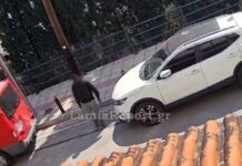 Λαμία: Μπήκε στην αυλή κατοικίας, άρπαξε το πορτοφόλι σε 10 δευτερόλεπτα και έφυγε ανενόχλητος