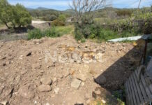 Αφθώδης πυρετός: «Υγειονομική βόμβα» οι χώροι ταφής των μολυσμένων ζώων στη Λέσβο – Δείτε φωτογραφίες