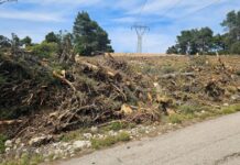 Ακαθάριστα οικόπεδα: Η προθεσμία για τις δηλώσεις και τον καθαρισμό – Πόσο κοστίζουν οι εργασίες