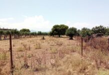 Ακαθάριστα οικόπεδα: Τι αλλάζει στην προθεσμία, στα πρόστιμα και τους ελέγχους μετά τη νέα ΚΥΑ – Τι αναφέρει η ΠΟΜΙΔΑ