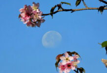 Πανσέληνος στον Σκορπιό: Επιρροές σε σχέσεις και οικονομικά
