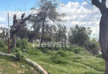 Περιστέρι: 5 φορές πυροβόλησε ο άνδρας που ζήτησε από παιδιά να τον τραβήξουν βίντεο – Τον ψάχνει η αστυνομία