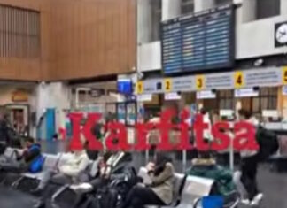 Πιερία: Τρένο συγκρούστηκε με αγριογούρουνα – Ταλαιπωρία για 22 επιβάτες αφού δεν μπόρεσε να εκτελεστεί το δρομολόγιο