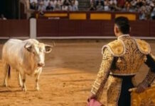 Ο ταυρομάχος Πινέδα στο Βαγέκας: Φοβερό βίντεο της ΑΕΚ για τη μάχη με τη Ράγιο Βαγιεκάνο