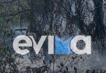 Εύβοια: Σύλληψη και πρόστιμο σε 56χρονο, για φωτιά από αμέλεια στην περιοχή Πλατάνα