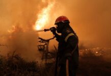 Προκήρυξη ΑΣΕΠ για 24 προσλήψεις στην Πυροσβεστική: Έως σήμερα οι αιτήσεις – Οι ειδικότητες