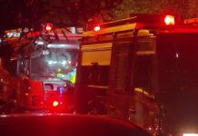 Καλλιθέα: Πυροσβέστες έσωσαν ηλικιωμένη και τα τέσσερα σκυλιά της από φωτιά
