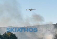 Υπό έλεγχο η φωτιά στην Σκιάθο, σε δασική έκταση στον Πλατανιά
