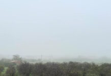 Εντυπωσιακό φαινόμενο στη Σπάρτη: Πυκνή ομίχλη «εξαφάνισε» τον Ταΰγετο