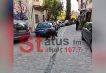 Θεσσαλονίκη: Αγριογούρουνο έκοβε βόλτες στην Άνω Πόλη ανάμεσα σε περαστικούς – Δείτε βίντεο