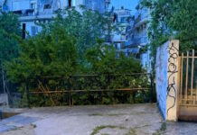 Θεσσαλονίκη: Το ηχητικό ντοκουμέντο από τον πυροβολισμό του 28χρονου Τούρκου – Συγκλονίζουν οι κραυγές του θύματος