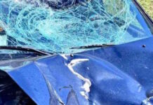 Φονικό τροχαίο στη Χαλκίδα: Ηλικιωμένη έχασε τη ζωή της μετά από σύγκρουση της μηχανής της με αυτοκίνητο