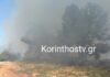Κορινθία: Οριοθετήθηκε η φωτιά σε πευκοδάσος στο Ζευγολατιό – Μεγάλη κινητοποίηση της Πυροσβεστικής