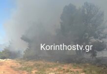 Κορινθία: Οριοθετήθηκε η φωτιά σε πευκοδάσος στο Ζευγολατιό – Μεγάλη κινητοποίηση της Πυροσβεστικής