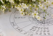 Άρης στον Κριό από τις 09/04/2026 – 19/05/2026: Ποια ζώδια θα πιεστούν και ποια θα γίνουν πιο διεκδικητικά