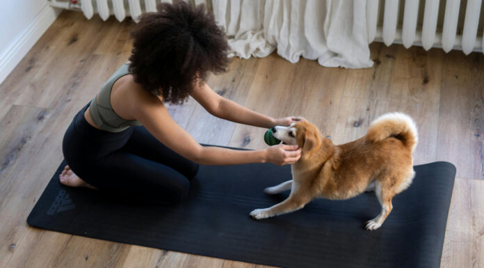 Pet Fitness: Πώς να γυμναστείς παρέα με το κατοικίδιό σου