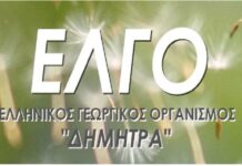 Nέες προσλήψεις στο ΕΛΓΟ Δήμητρα: Ποιοι μπορούν να υποβάλουν αίτηση και μέχρι πότε