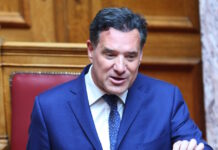 Άδωνις Γεωργιάδης: Η Μαρία Καρυστιανού είναι στη «δεξαμενή» αυτών που θέλουν το μπάχαλο