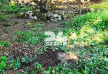 Χανιά: Σε αυτό το σημείο βρέθηκε η σορός του άτυχου Αλέξη Τσικόπουλου