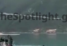 Συναγερμός στην Λευκάδα: Ψαράδες εντόπισαν ουκρανικό θαλάσσιο drone – Παραδόθηκε στο Λιμενικό