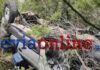 Εύβοια: Σοβαρό τροχαίο με όχημα που τούμπαρε και κατέληξε σε γκρεμό
