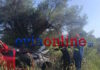 Εύβοια: Τροχαίο με αυτοκίνητο να φεύγει από τον δρόμο, να πέφτει σε ελιά και να παίρνει φωτιά