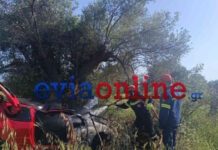 Εύβοια: Τροχαίο με αυτοκίνητο να φεύγει από τον δρόμο, να πέφτει σε ελιά και να παίρνει φωτιά