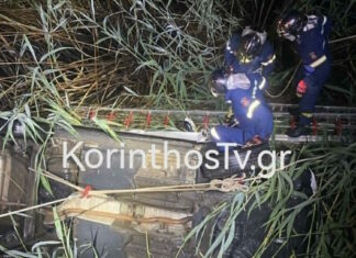 Κόρινθος: Σκοτώθηκε σε τροχαίο ο διευθυντής του δημοτικού σχολείου Φενεού – Έπεσε σε ρέμα με το αυτοκίνητο