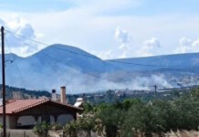 Φωτιά στα Καλύβια σε χαμηλή βλάστηση: Μεγάλη κινητοποίηση της Πυροσβεστικής