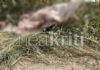 Ηράκλειο: Σε αυτό το σημείο βρέθηκε αιμόφυρτη η 28χρονη μητέρα – Φωτογραφίες από τα αιματοβαμμένα ρούχα της