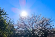 Καιρός σήμερα: Ηλιόλουστος με θερμοκρασίες που θα φτάσουν τους 26 βαθμούς