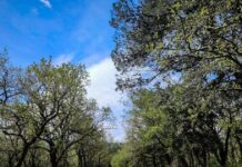 Καιρός σήμερα: Καλοκαιρινό σκηνικό με υψηλές θερμοκρασίες
