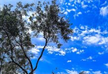 Καιρός αύριο: Νέα άνοδος της θερμοκρασίας, θα φτάσει τους 26 βαθμούς