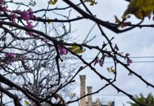 Καιρός σήμερα: Η θερμοκρασία ανεβαίνει έως τους 22 βαθμούς, πού θα πέσουν βροχές και καταιγίδες