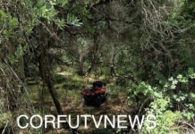 Κέρκυρα: Νεκρός ο οδηγός της γουρούνας που έπεσε σε χαντάκι – «Μάχη» για τη ζωή του δίνει ο 15χρονος γιος του