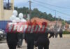 Ηλεία: Με λευκά μπαλόνια αποχαιρετούν τον 13χρονο Κωνσταντίνο που σκοτώθηκε σε τροχαίο με πατίνι