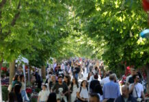 Κηφισιά: «Η ανθοκομική έκθεση δεν είναι απλώς ένας θεσμός, είναι η άνοιξη της πόλης μας» λέει στο newsit.gr ο δήμαρχος Βασίλης Ξυπολυτάς