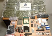 Χειροπέδες σε σπείρα για κλοπές αυτοκινήτων και διακίνηση ναρκωτικών σε Αττική και Βοιωτία – 18 συλλήψεις