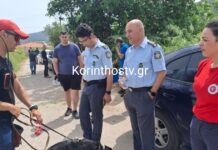 Κορινθία: Χωρίς τις αισθήσεις του εντοπίστηκε ο 82χρονος αγνοούμενος